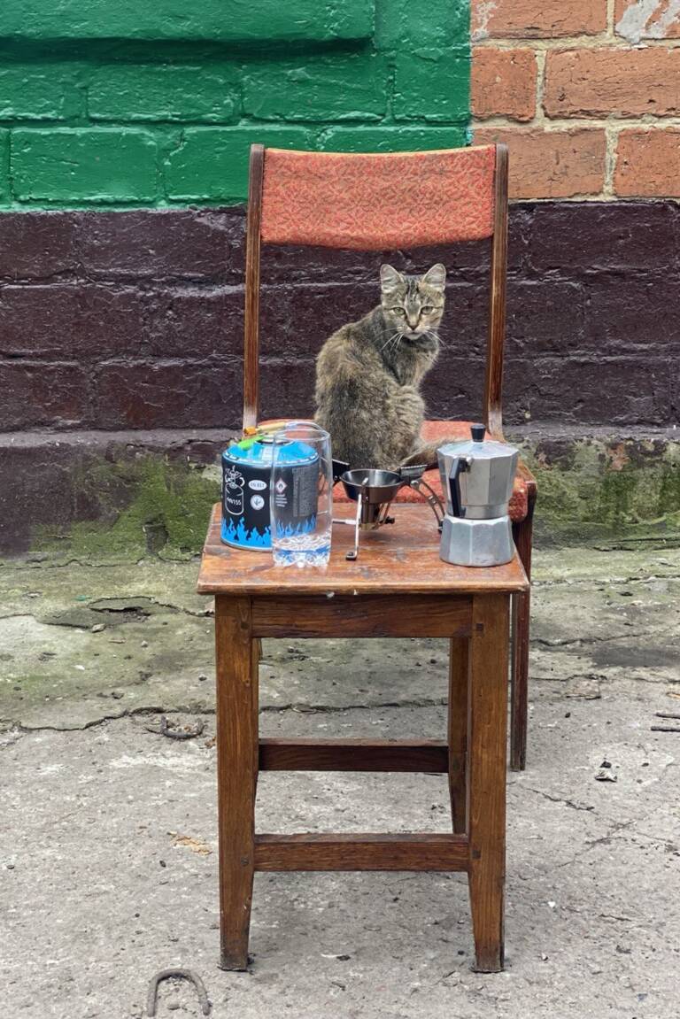 Котик